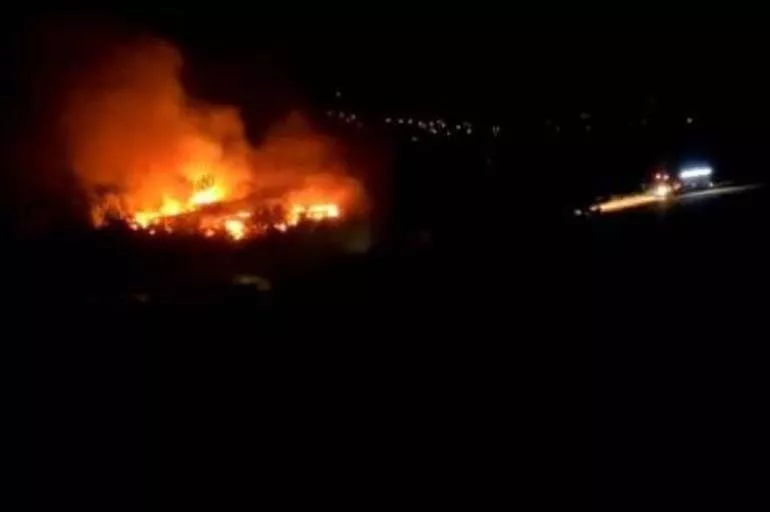 Adana'da orman yangını! Müdahale devam ediyor