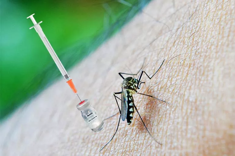 BioNTech bu kez sıtma aşısı geliştirecek