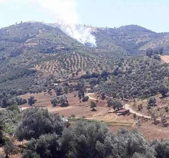 İzmir Kiraz'da  ve Ödemiş'te orman yangını çıktı