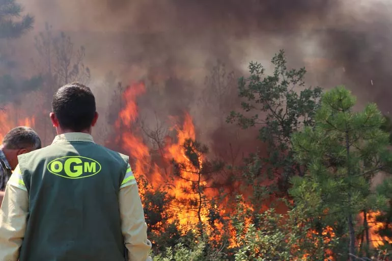 Kastamonu'da çıkan orman yangını söndürülmeye çalışılıyor