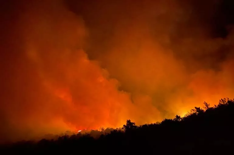 Orman yangınları aynı anda nasıl başladı? Uzmanlar 4 sebebi sıraladı