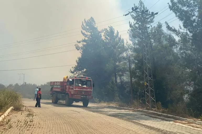 Osmaniye’de hastane ve çevresinde orman yangını
