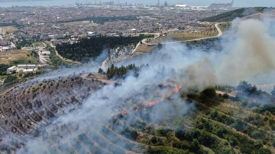 Son dakika: Kocaeli'de orman yangını