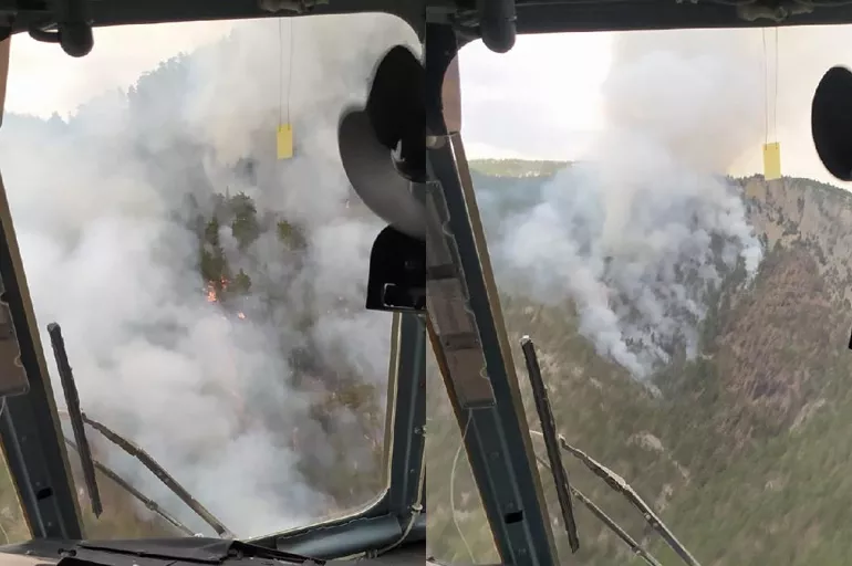 Adana Saimbeyli'de orman yangını