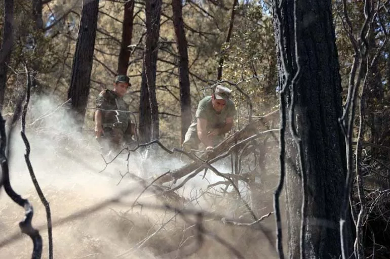 Azeri gardaşlar Marmaris ormanlarında çalışıyor