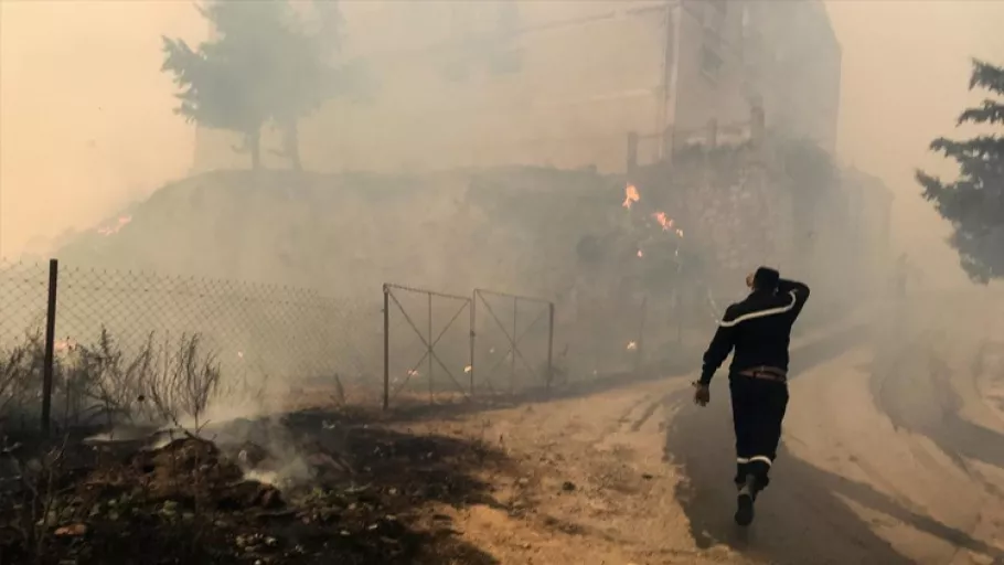 Cezayir Genelkurmay Başkanı ülkedeki orman yangınını 'komplo' olarak değerlendirdi