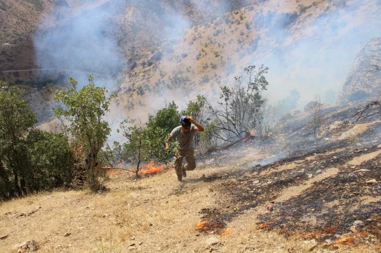 Hakkari Valiliği: Goman Tepe çevresindeki yangın kontrol altında