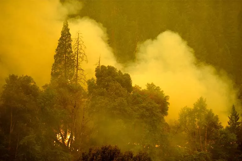Kaliforniya Dixie yangını yüzünden adım adım küle dönüyor