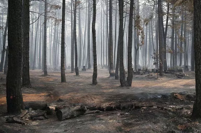 Alanya'da orman yangını yeniden başladı