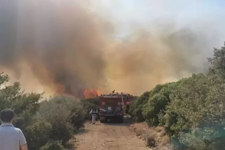 Son dakika: Muğla ve Çanakkale'de orman yangını! 