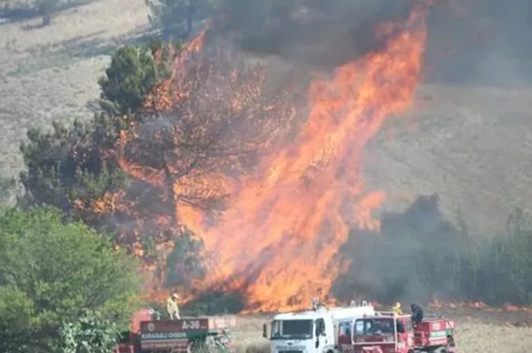 Son dakika: Adana'da orman yangını kontrol altına alındı