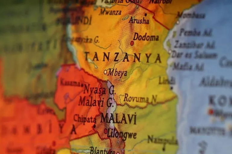 Tanzanya'da Fransız Büyükelçiliği önünde silahlı saldırı