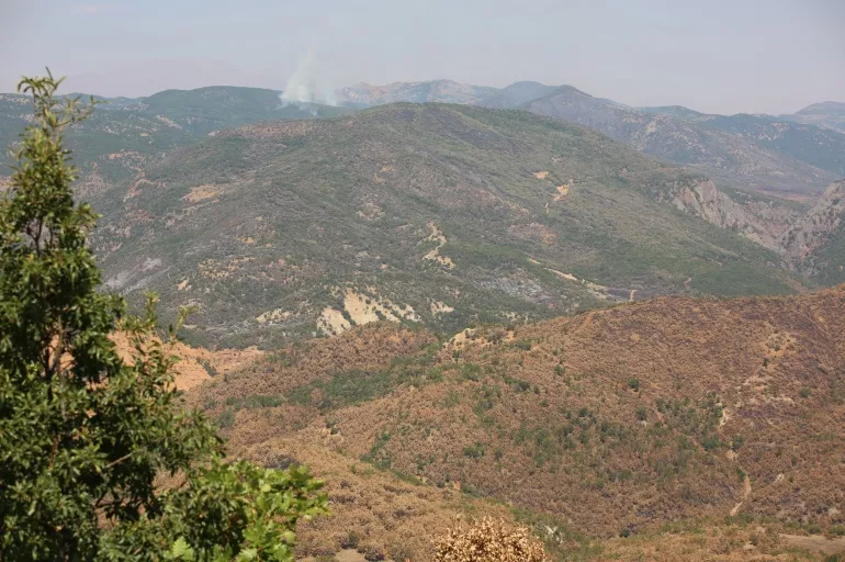 Tunceli’deki orman yangınlarını PKK çıkarmış!