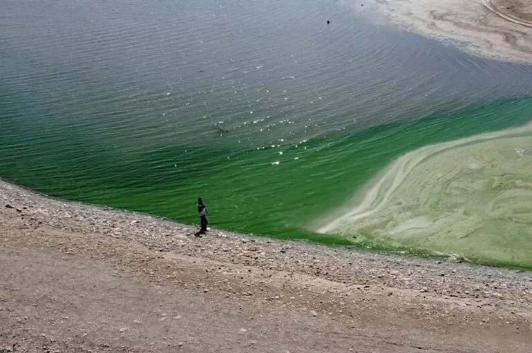 Adıyaman'da baraj sularının yeşile dönmesi vatandaşları korkuttu