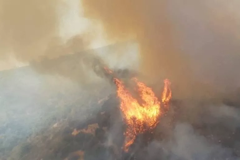 Bodrum'da bölgeye yönlendirilen ekipler orman yangınını kontrol altına almaya çalışıyor
