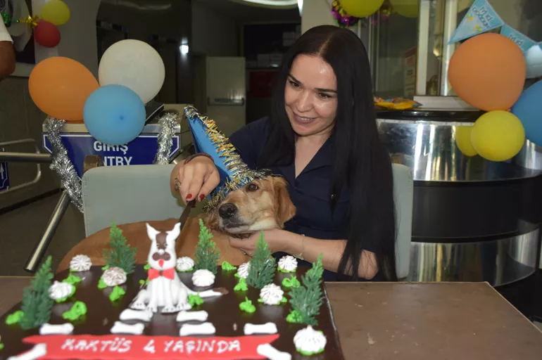 Dünyayı iyilik kurtaracak! Sahiplendiği köpek için doğum günü partisi düzenledi