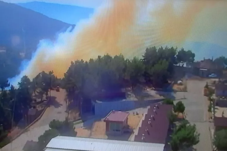 İzmir'deki orman yangınına havadan ve karadan müdahale