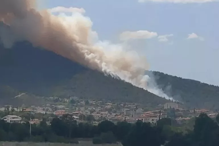 Son dakika: Denizli'de orman yangını çıktı