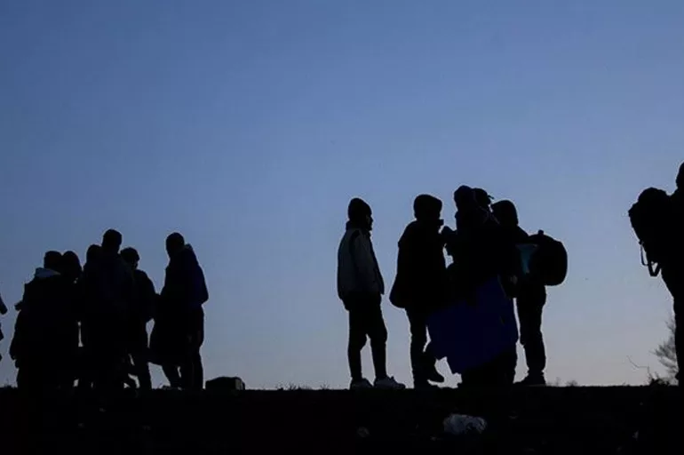 Son dakika: Kırklareli'nde 19 düzensiz göçmen yakalandı