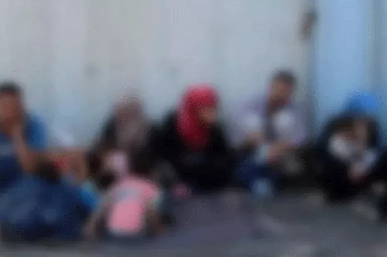 Son dakika: Kırklareli'nde 7 düzensiz göçmen yakalandı