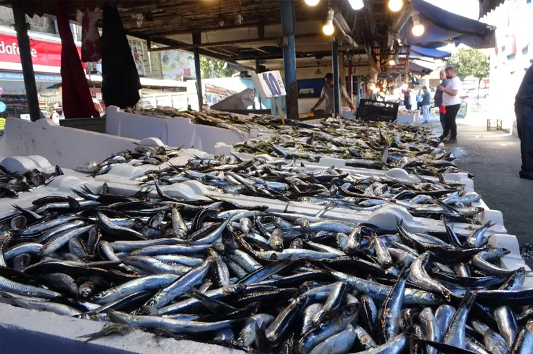 2021 balık fiyatları