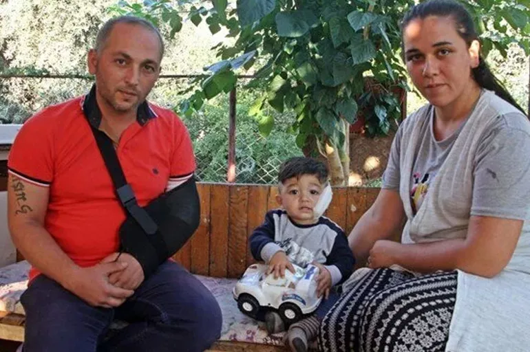 Antalya'da pitbull dehşeti! Bebek ile babasına saldırdı