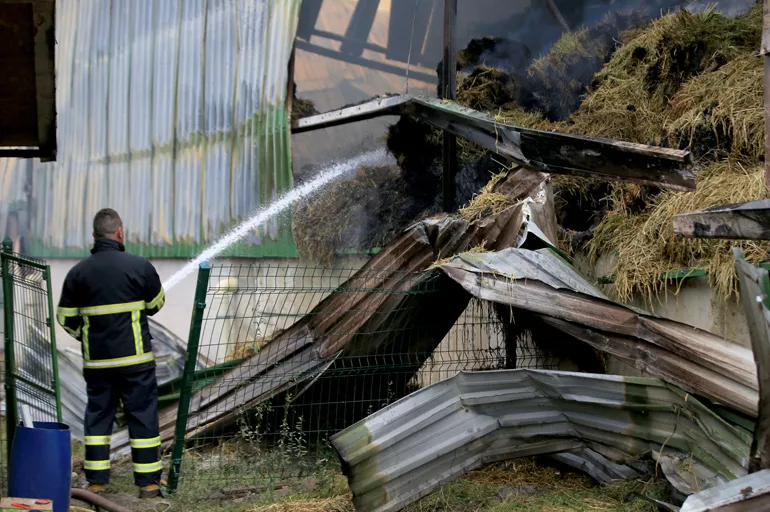 Kırklareli'nde besi çiftliğindeki yangını söndürme çalışmaları devam ediyor!