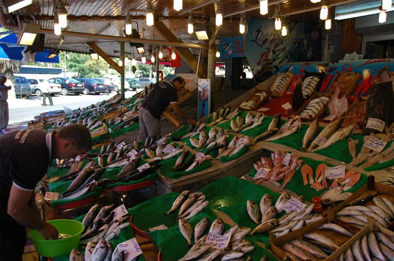 Marmara'da lüfer balığında bolluk yaşanıyor! Tezgahtaki fiyatı da düştü