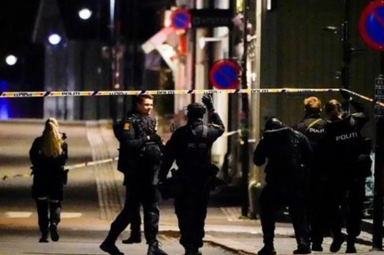 Norveç'teki okçu saldırganın zihinsel sorunlar yaşadığı ortaya çıktı