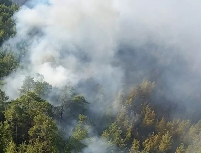 Son dakika: Antalya'da orman yangınına neden oldukları gerekçesiyle 7 şüpheli turist tutuklandı