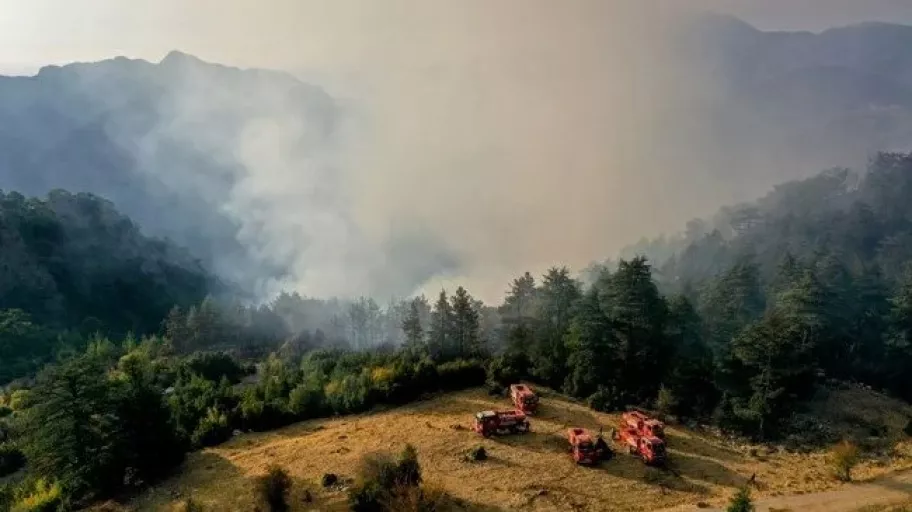 Son dakika! Antalya Kemer'deki orman yangını kontrol altında