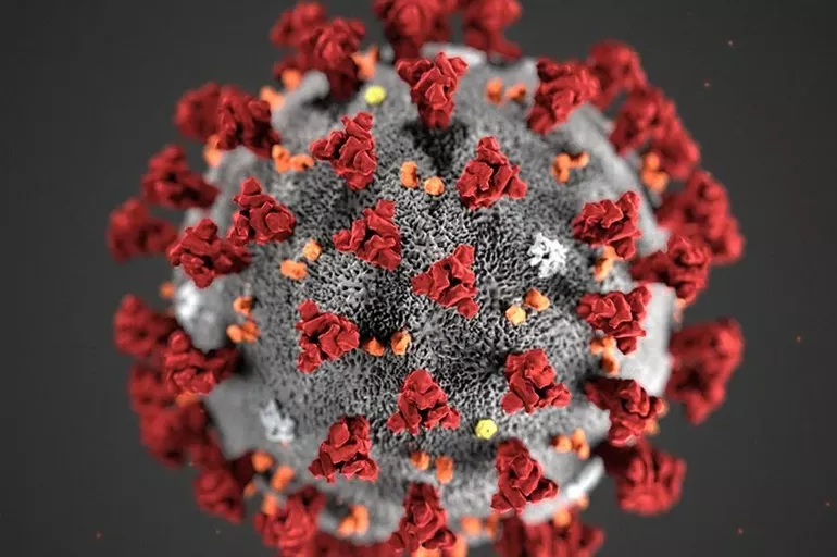 Türk bilim insanlarından yeni koronavirüs keşfi: 'Tazı burun' olarak nitelenen kişiler dikkat!