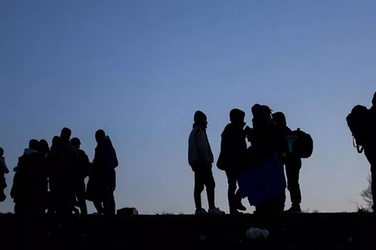 Bitlis'te 63 düzensiz göçmen yakalandı