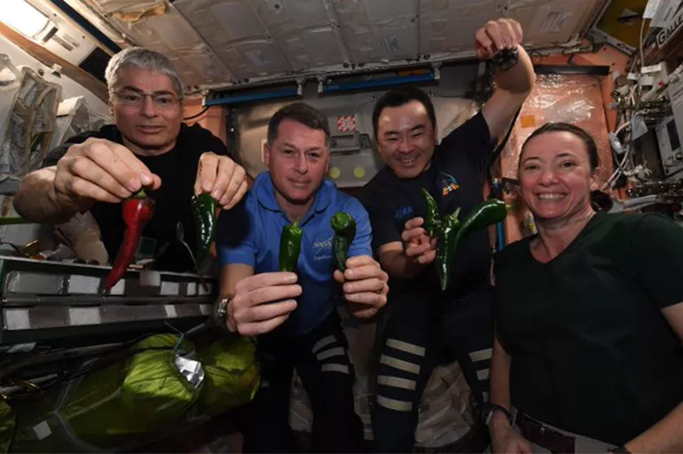 ISS'in tuvaletle imtihanı: Astronotlar eve 'yetişkin bezi' ile dönecek
