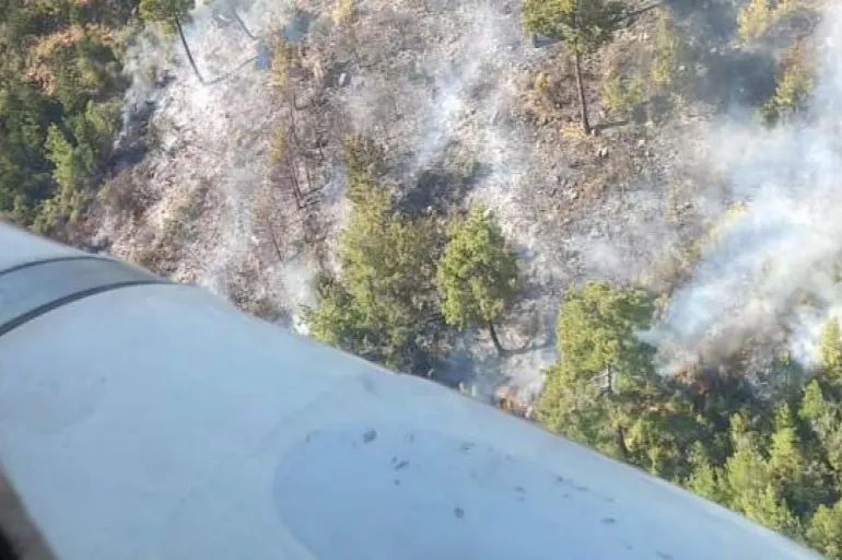 Manavgat' ta korkutan orman yangını! Yerleşim yerlerine çok yakın