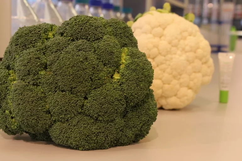 Akne tedavisinde Karnabahar ve Brokoli mucizesi! 2 günde etki ediyor