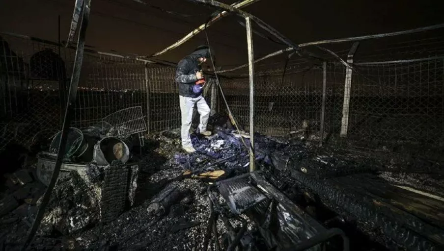 Barınak yandı 55 köpek son anda kurtuldu