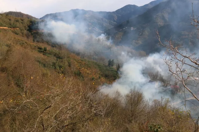 Son dakika: Trabzon ve Rize'de korkutan orman yangını! 4 ayrı noktada müdahale sürüyor