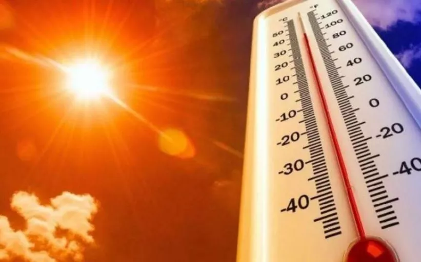 Türkiye yanıyor! Son 50 yılın en sıcak dördüncü kasım ayı yaşandı