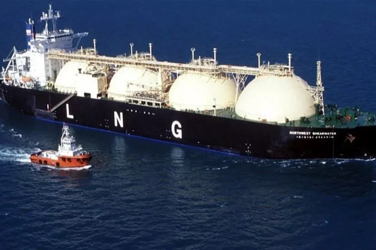 Cezayir'den yola çıkan dev LNG gemisi Türkiye'ye ulaştı