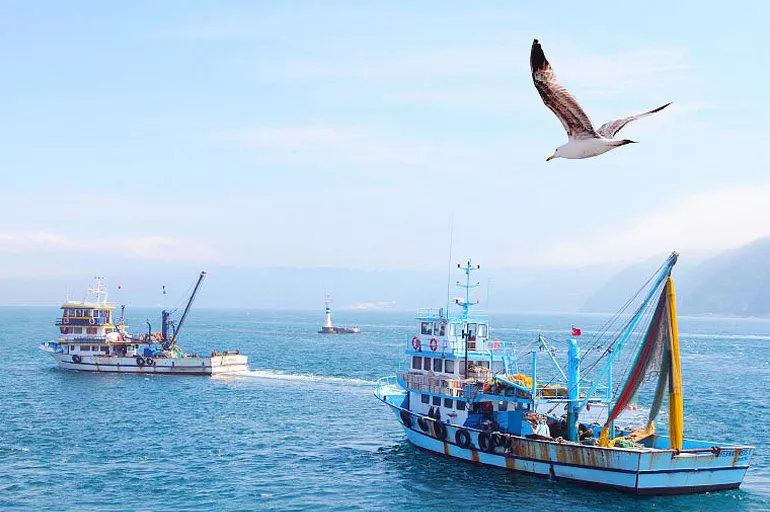 Karadeniz ve Marmara Denizi'ndeki balıkçılar bu yıl umduğunu bulamadı!