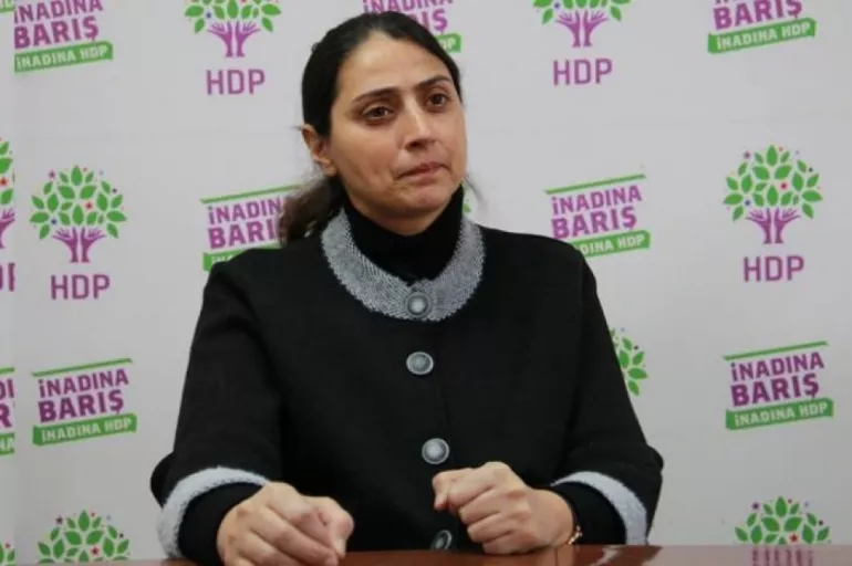 HDP'li Feleknas Uca Türkiye'nin imha ettiği teröristler için AB ve NATO'ya yalvardı