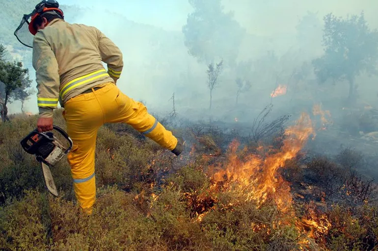 5 bin yeni yangın işçisi alınacak! Tarım ve Orman Bakanı Bekir Pakdemirli açıkladı