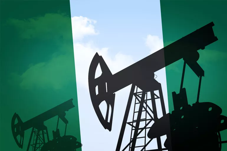 Nijerya'dan Türkiye'nin petrol ve doğalgaz ihtiyacını bitirecek teklif!