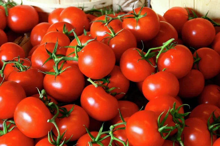 Rusya-Ukrayna savaşı sonrası domates fiyatı bir haftada 4 liraya düştü