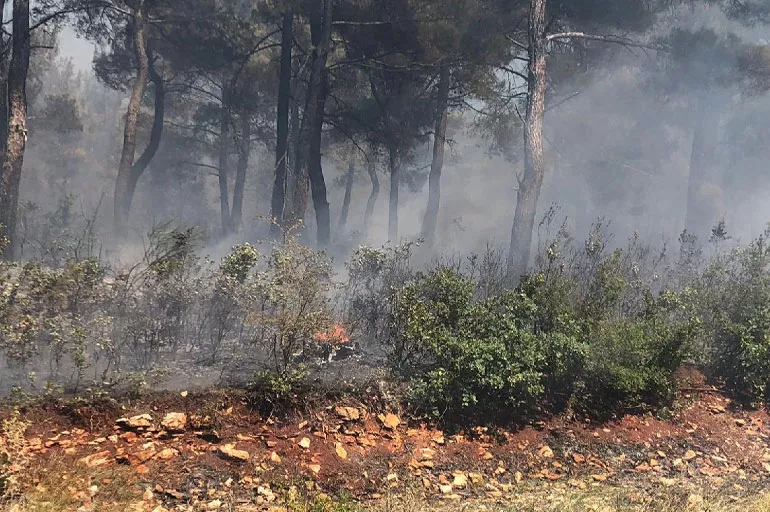 Balıkesir'de orman yangını! Alevler geniş bir alana yayıldı