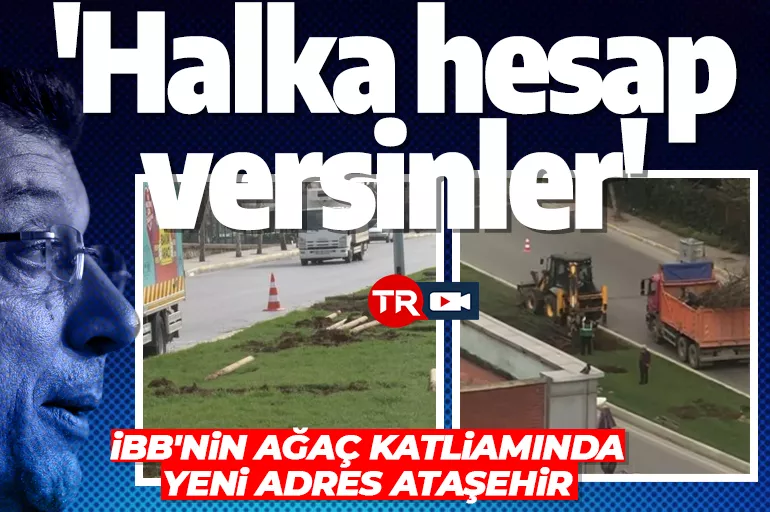 İBB'nin ağaç katliamında yeni adres Ataşehir oldu! Vatandaşlar duruma tepkili: Halka hesap versinler