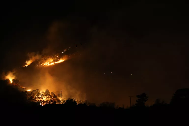 İzmir, Bursa, Çanakkale ve Bilecik'teki orman yangınlarına müdahale sürüyor