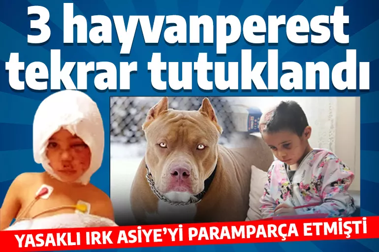 Pitbull köpeği Asiye'yi paramparça etmişti! 3 hayvansever sanık tutuklandı
