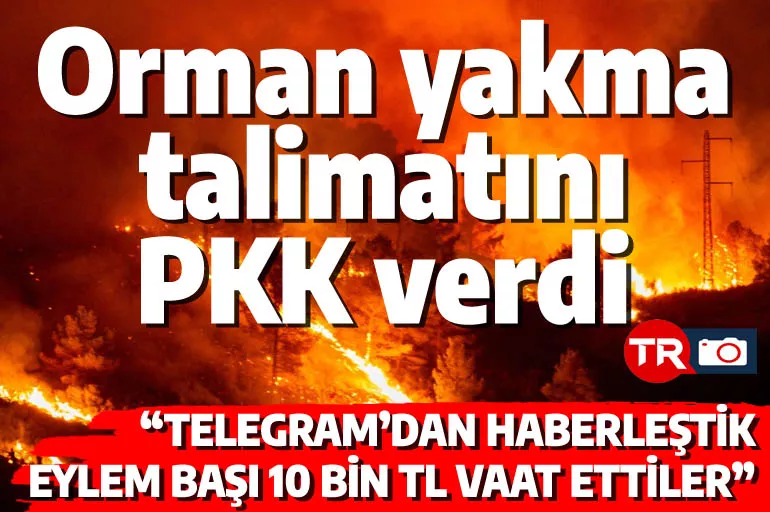 PKK'dan 'ormanları yakın' talimatı! Her kundak için 10'ar bin TL dağıtmışlar